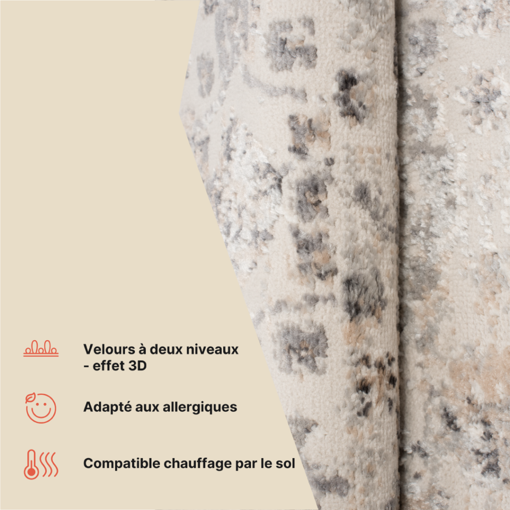 Tapis Valley Gris Beige Ornamental Bordure