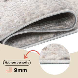 Tapis Valley Gris Beige Vintage Ornamental