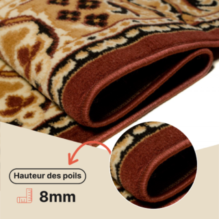 Tapis Atlas Marron Beige Traditionnel Médaillon