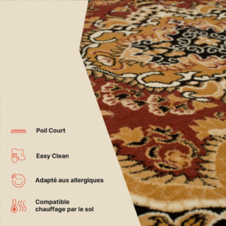 Tapis Atlas Marron Beige Traditionnel Médaillon