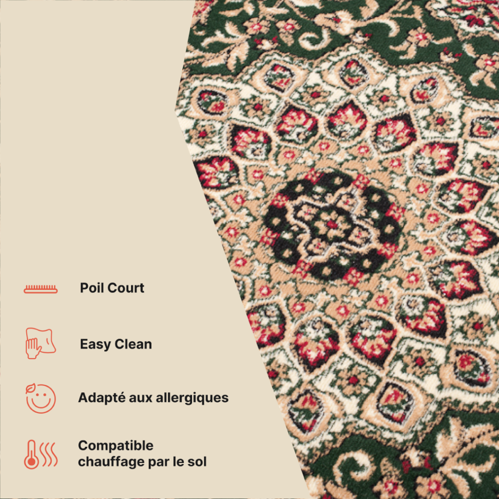 Tapis Atlas Vert Traditionnel Rosace Bordure