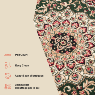 Tapis Atlas Vert Traditionnel Rosace Bordure