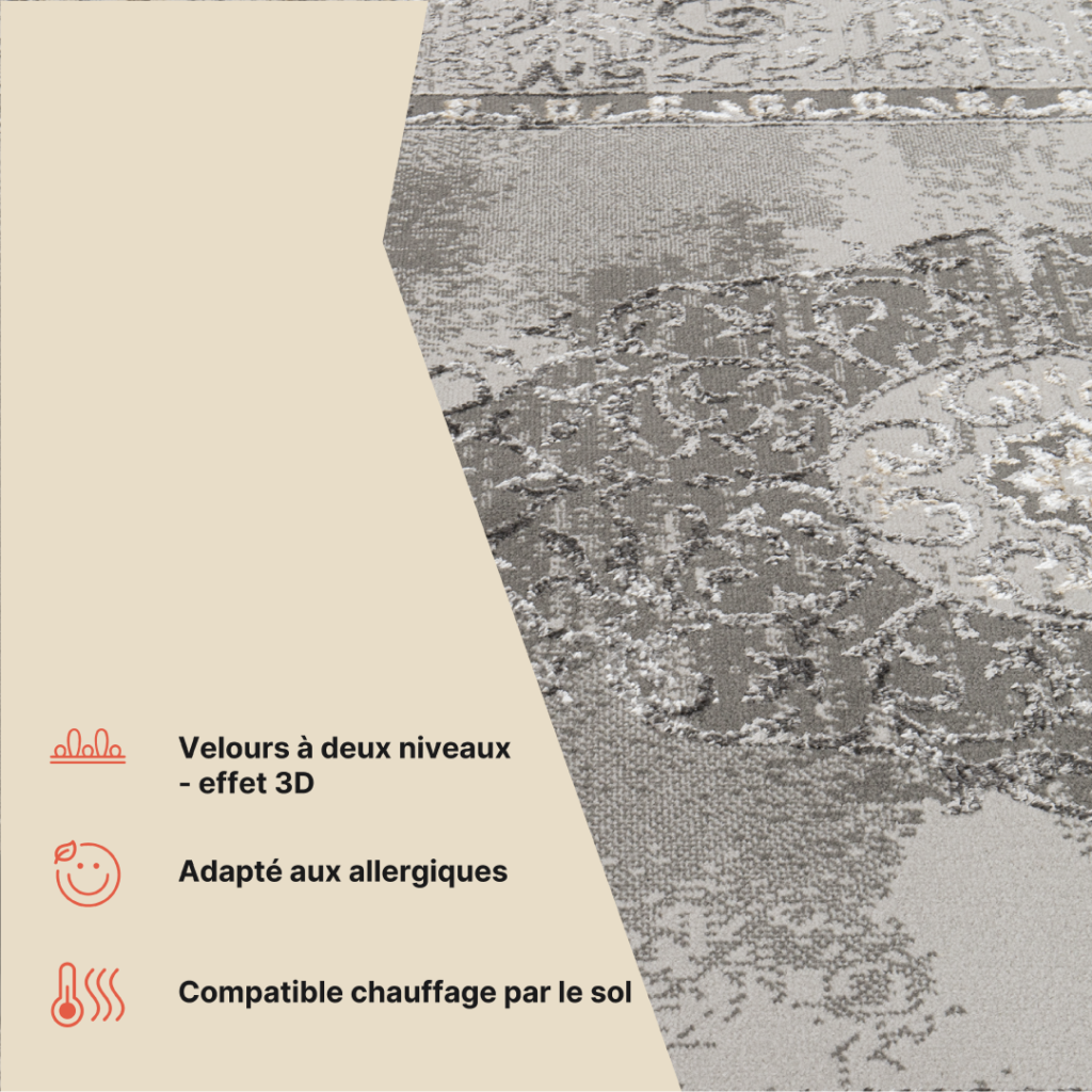 Tapis Ares Gris Rosace Bordure Vintage