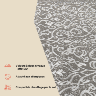 Tapis Ares Gris Ornamental Vintage