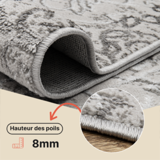 Tapis Ares Gris Clair Ornamental Vintage