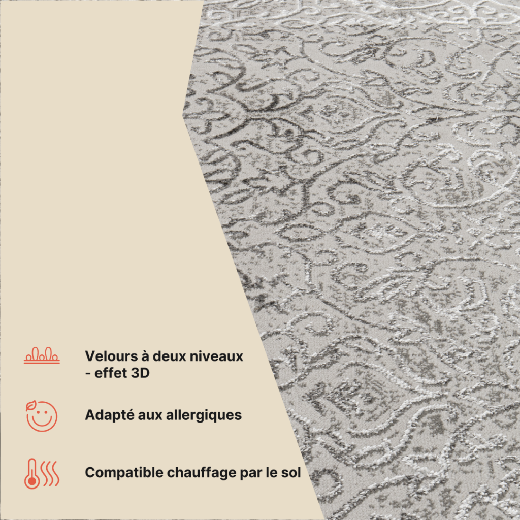 Tapis Ares Gris Clair Ornamental Vintage