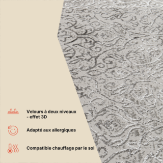 Tapis Ares Gris Clair Ornamental Vintage