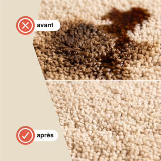 Nettoyant universel pour tapis et moquettes
