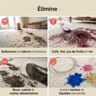 Nettoyant universel pour tapis et moquettes